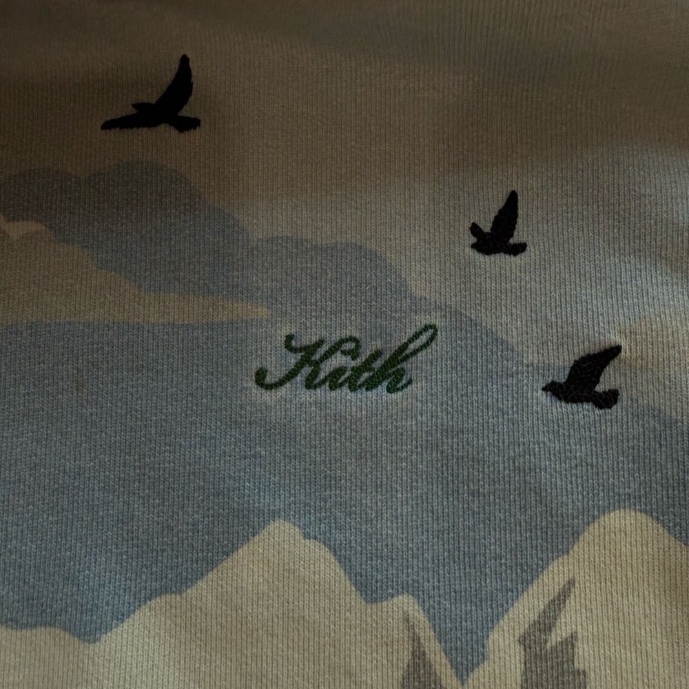 Kith Light Blue Hoodie - Picture 2 of 6